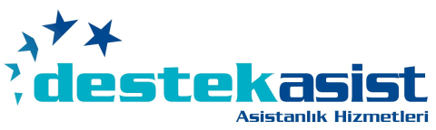 Destek Asist görseli