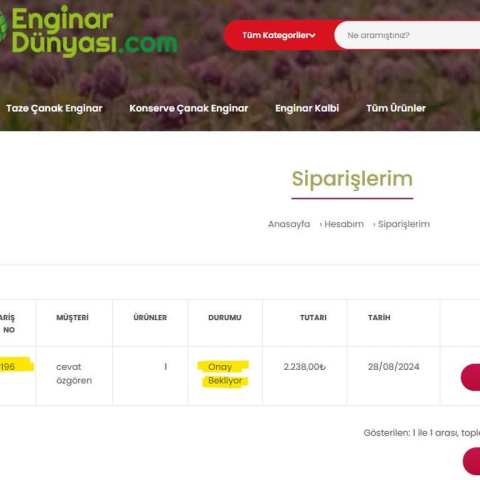 Enginar Dünyası (Aydın) görseli