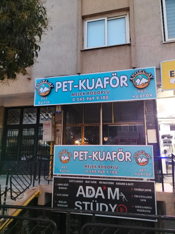 Angel-Ay Pet Kuaför görseli