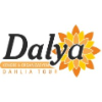 Dalya Turizm görseli