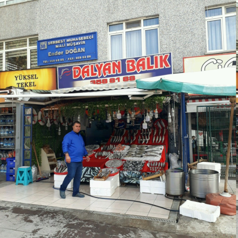 Dalyan Balıkçısı görseli