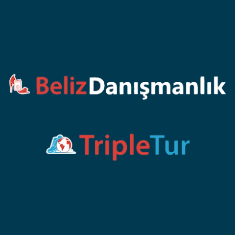 Beliz Danışmanlık görseli