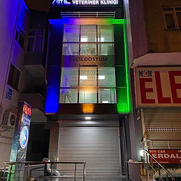 Evcil Dostum Veteriner görseli