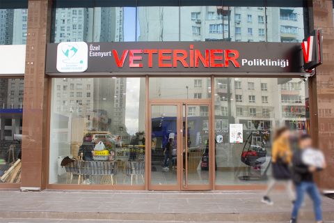Esenyurt Veteriner Polikliniği görseli