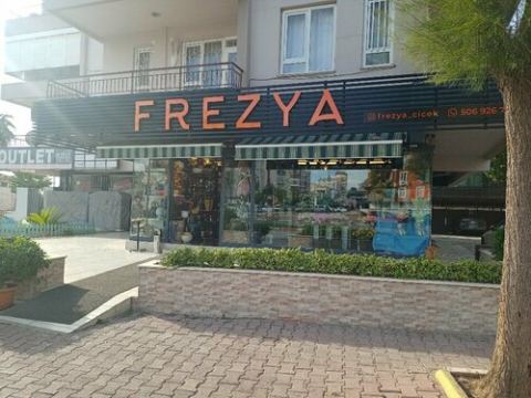 Frezya Çiçek (Antalya) görseli