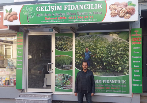 Cevizfidani.com.tr görseli