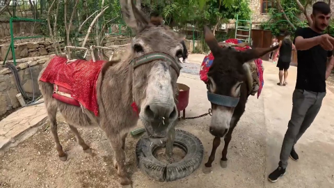 Animal Park (Manavgat) görseli