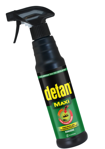 Detan görseli