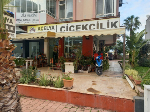 Antalya Açelya Çiçek görseli