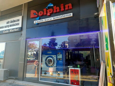 Dolphin Kuru Temizleme görseli