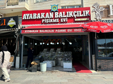 Ayabakan Balıkçısı görseli