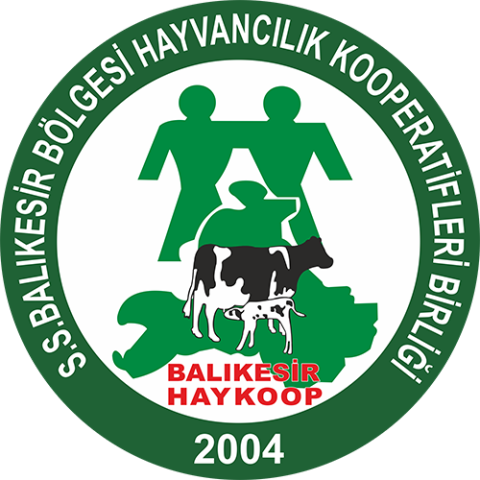 Balıkesir Haykoop görseli