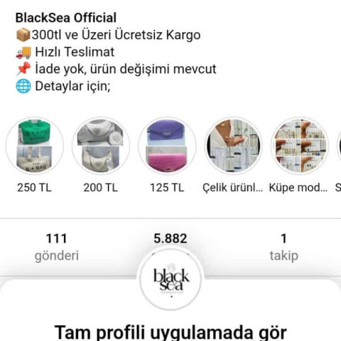 Blackseamarketing.online görseli
