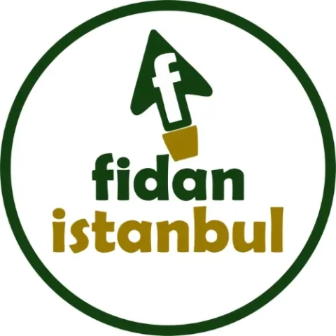 Fidan İstanbul görseli