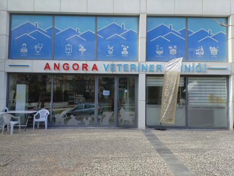 Angora Veteriner Kliniği Aydın görseli