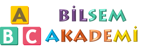 Bilsemakademi.net görseli