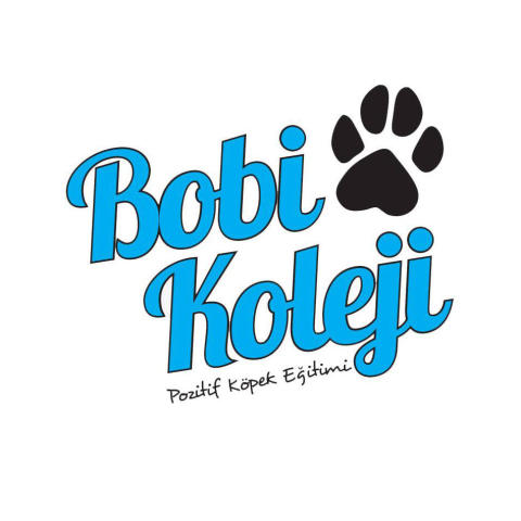 Bobi Koleji Köpek Eğitim Merkezi görseli