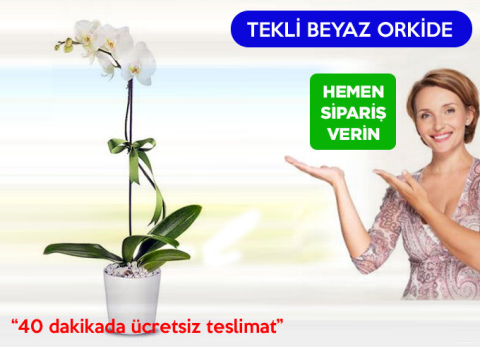 Dortyolcicek.com görseli
