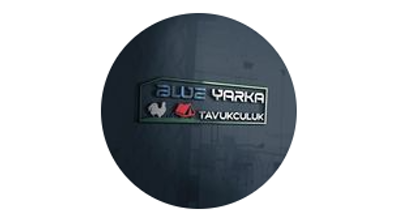 Blue Yarka ve Çadır görseli