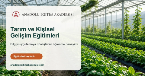 Anadolu Eğitim Akademisi görseli