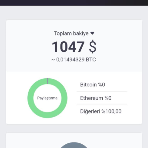 Bitfourex (bitfourex.com) görseli