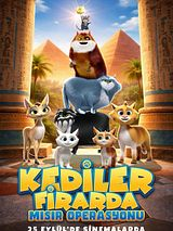 Cinemarca Sinemaları görseli