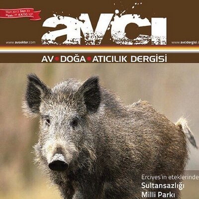 Avcı Dergisi görseli