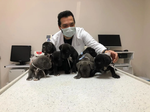 Anka Veteriner Kliniği (Akhisar) görseli
