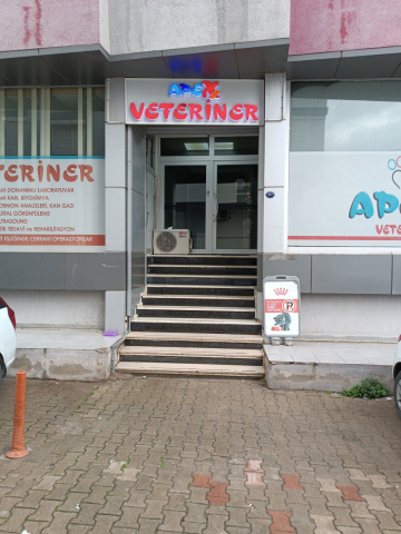 Apex Veteriner Kliniği görseli