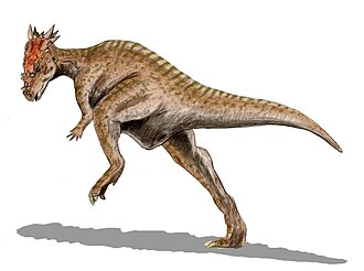 Dracorex Media görseli