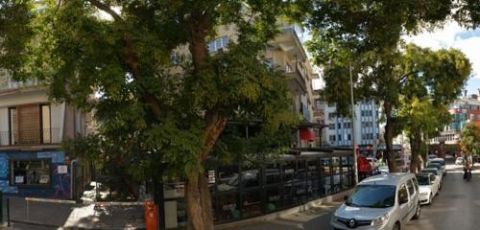 Alacaatlı Beauty Studio görseli