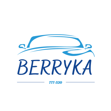 Berryka Otomotiv Tekstil ve Aksusar görseli