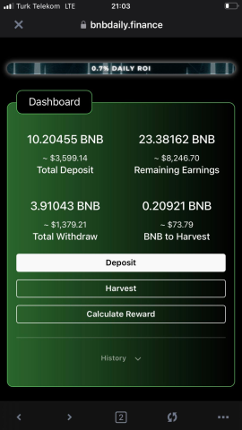 Bnb Daily Finance görseli