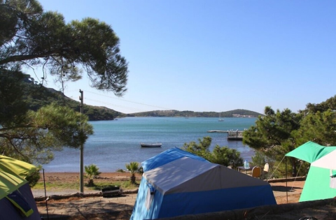Ayvalık Çamlık Kamping görseli