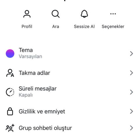 @idilinpatileri0 görseli