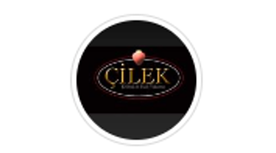 Çilek Koltuk & Halı Yıkama (Eyüp) görseli