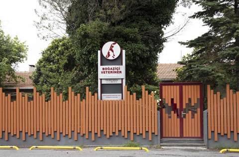 Boğaziçi Veteriner Kliniği görseli