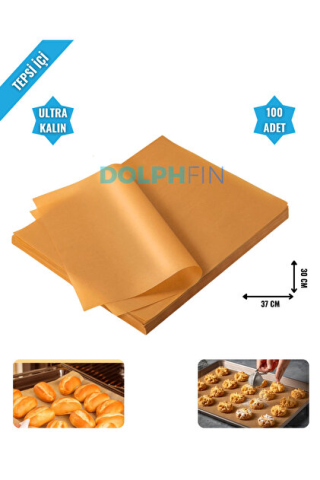DolphFin görseli