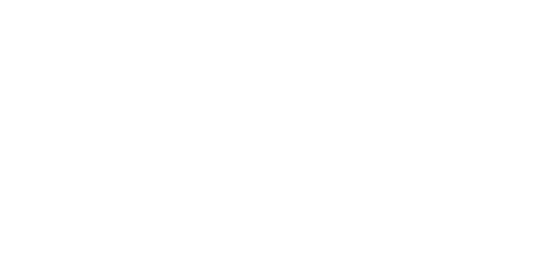 Antalya Vip Nakliyat görseli