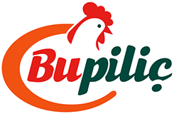 Bupiliç görseli
