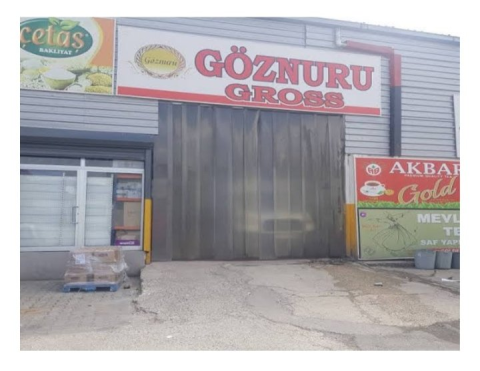 Göznuru Gross görseli