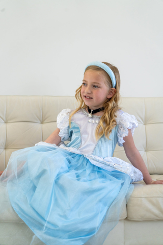 Cinderella Accessories görseli