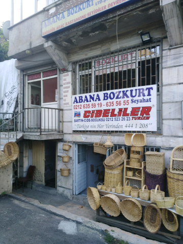Abana Bozkurt Seyahat görseli