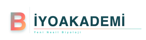 Biyo Akademi görseli