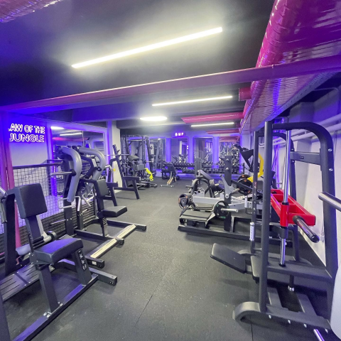 Bomonti Muscle Factory görseli