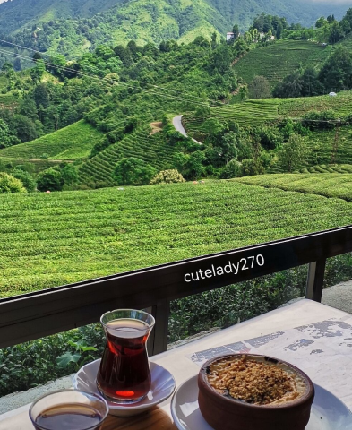 Çeçeva Çay Bahçesi (Rize) görseli