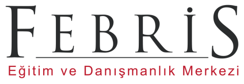Febris Danışmanlık görseli