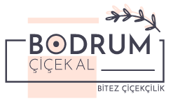 Bodrumcicekal.com görseli