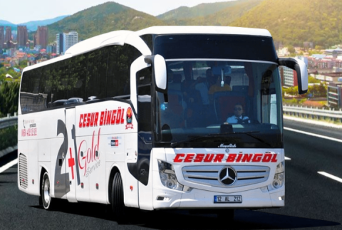 Cesur Bingöl Turizm görseli
