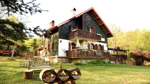 Abant Korudam Butik Otel görseli